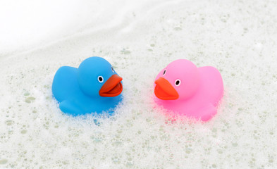 Pink and blue duck in a bathtub