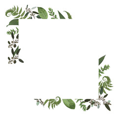 Obraz premium Vector card floral design with green watercolor, eucalyptus, forest fern, herbs, eucalyptus, branches boxwood, buxus, botanical green, decorative horizontal frame, square