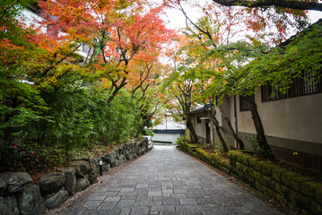 Fototapeta na wymiar Colorful Autumn leaves Street in Kyoto
