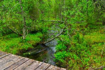 Obraz premium Rykimakero Trail, in Pyha-Luosto National Park