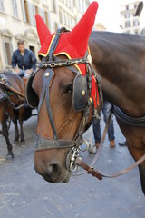 Florenz Toskana Italien