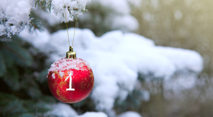 Christmas Ball hanging on a Fir Tree Branch. First Advent.