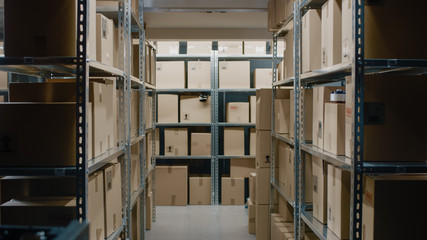 Shot Inside Warehouse Storeroom with Rows of Shelves Full Cardboard Boxes, Parcels, Packages Ready...
