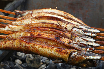 Cooking bonito mackerel fish on grill
