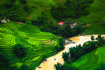 Landscape with rice terraces and mountain river,Terraced rice paddy field landscape of Mu Cang Chai , Sapa,Northern Vietnam.