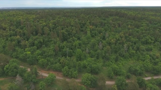 motorcyclist rides on a dirt road in the woods