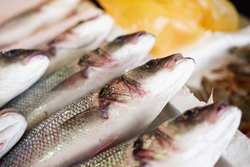 Sea fish on counters in the market.