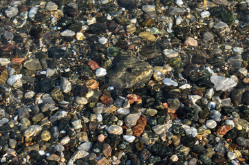 Natural background. Pebbles in water