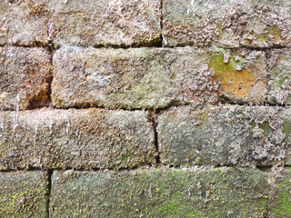 Wall texture background good use for any design you want