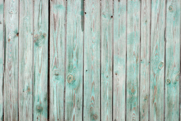 Fototapeta premium The old wooden walls painted green. Old wooden wall background or texture.