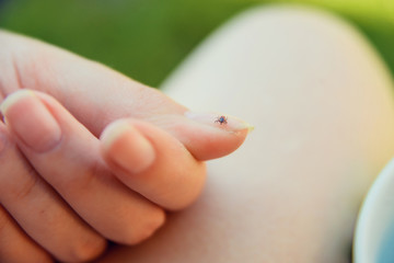 Tick crawling on finger. The concept of danger of tick bite.