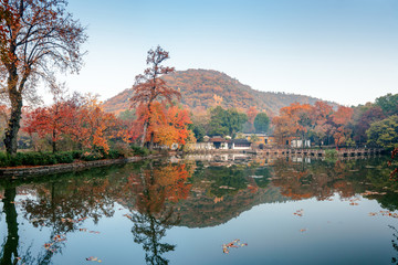 Naklejka na ściany i meble the autumn in the park of Suzhou, China