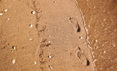 summer sea holidays concept of human foot prints on waterfront shore line sand background texture near waves with empty space for copy or text 