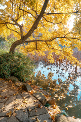 the autumn in the park of Suzhou, China