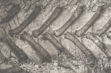 Imprint of the jeep tire on the gray earth. Tractor wheel on the ground. Tire protector close-up. Gray sand background. SUV.