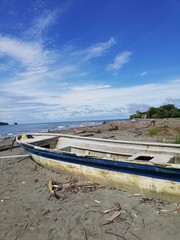 Fototapeta premium dav