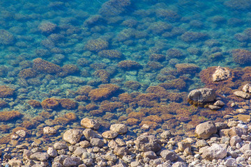 Crystal clear turquoise shallow water on coast of sea with different size stones on beach closeup