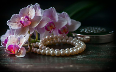 Pink orchid with a pearl necklace