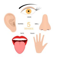 Cartoon Human Senses Signs Icon Set. Vector