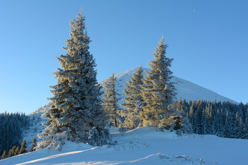 Winter day in the mountains