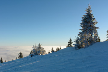 Winter day in the mountains