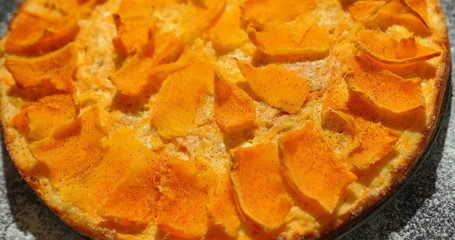 Homemade pumpkin pie