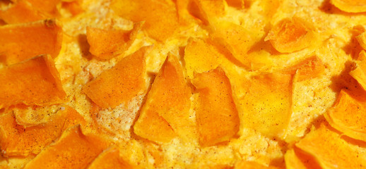 Homemade pumpkin pie