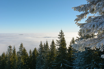 Winter day in the mountains