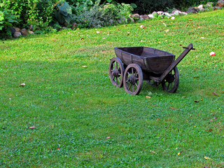 wheelbarrow in the garden