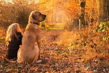 Beste Freunde Kind und Hund sitzen zusammen und genießen den leuchtenden Herbstwald