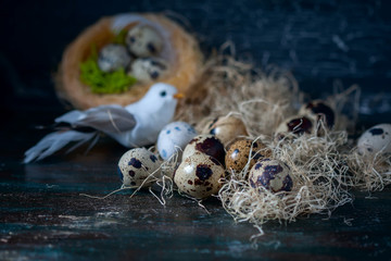 Easter composition, Quail eggs on the old wooden background.