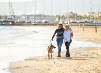 Beautiful older mom and mature daughter walking their german shepard dog on beach at autumn sunset