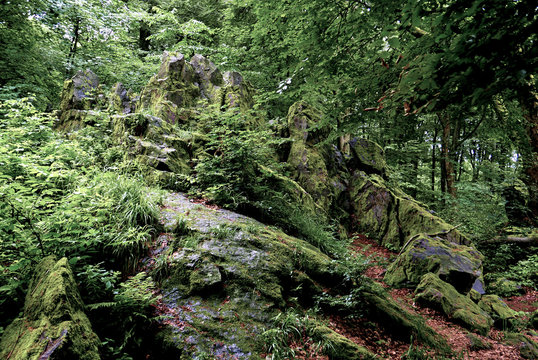 Wilhelmsteine: Rock outcroppings in a German forest
