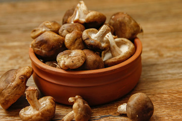 Fresh shiitake mushroom on wooden table, close-up photo in rustic ambient with low light