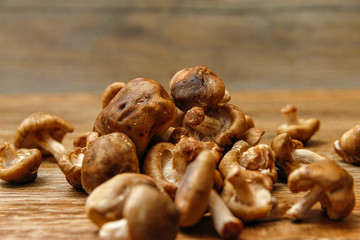 Fresh shiitake mushroom on wooden table, close-up photo in rustic ambient with low light