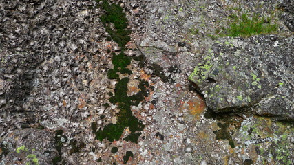 Stone texture 4