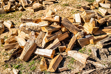 Chopped logs firewood on ground in back yard