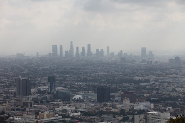 Downtown LA im Nebel