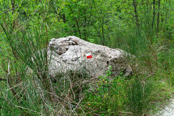 Escursione nella valle dell'Ambro