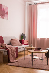 Table on pink carpet in living room interior with blanket on grey sofa and drapes at window. Real photo
