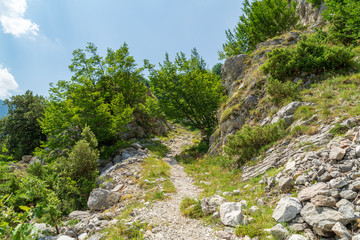 Fototapeta na wymiar Escursione nella valle dell'Ambro