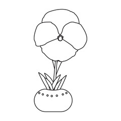 Cute drawing plant