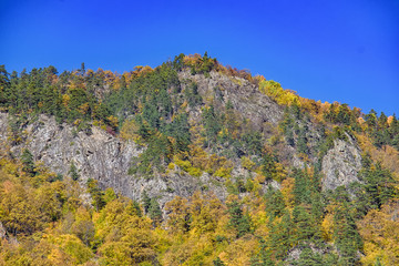 Scenic landscape with mountain forest in fall
