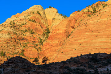 Scenic Zion National Park Utah Landscape