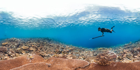 360 of spearfisher on reef