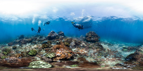 Fototapeta na wymiar 360 of scuba divers on Indonesian reef