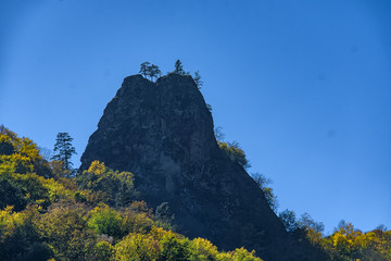 Mountain rock with trees on sunny autumn day