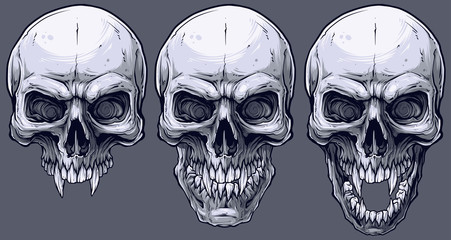 Detailed graphic realistic cool black and white human skulls with sharp canines. On gray background. Vector icon set.