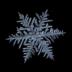 Snowflake isolated on black background. Macro photo of real snow crystal: elegant stellar dendrite with fine hexagonal symmetry, glossy relief surface, complex inner details and six thin, ornate arms.