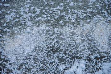Unique natural phenomenon. Fancy ice on the surface of a frozen pond.